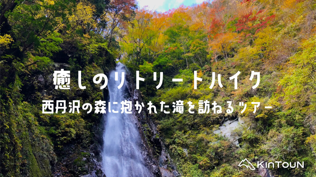 西丹沢の森に抱かれた滝を訪ねる癒しのリトリートハイク