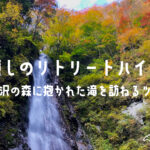 西丹沢の森に抱かれた滝を訪ねる癒しのリトリートハイク
